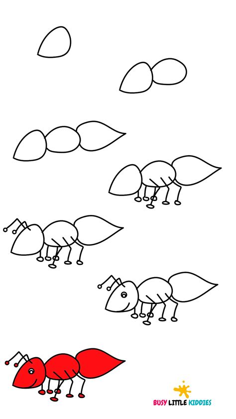 How To Draw An Ant Step By Step Instructions Busy Little Kiddies