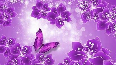 Purple Flower Background Backgrounds