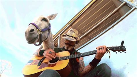 Hazel The Donkey Sings Wait For It Donkey Loves The Bee Gees YouTube