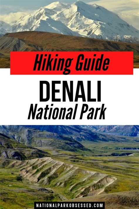 The 19 Absolute Best Hikes In Denali National Park For 2024 National