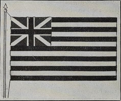 Image From Page 31 Of The Stars And Stripes From Washing Flickr