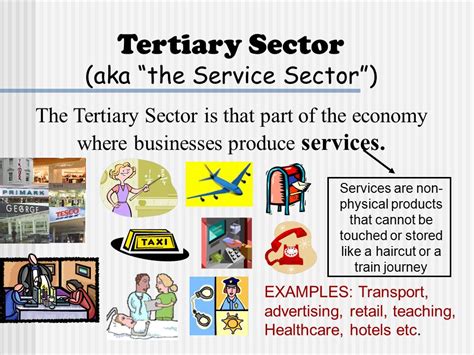 Primary Secondary Tertiary Quaternary And Quinary Sectors Of Economy
