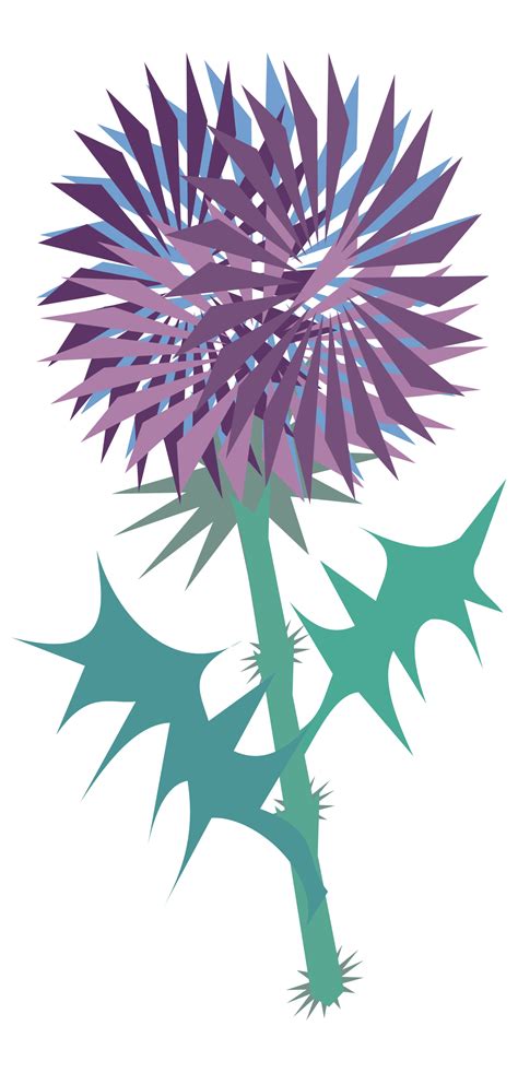Blue Thistle Flower Png