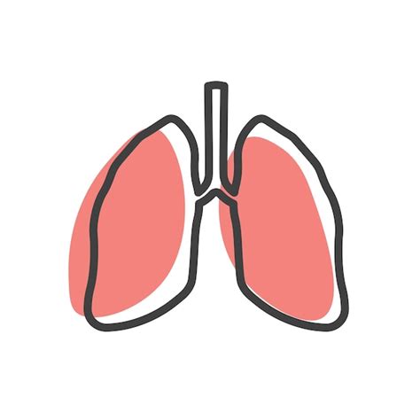 Icono Lineal De Pulmones Humanos Icono De Sistema Respiratorio De The