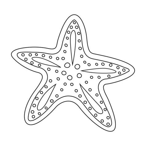 Desenhos De Estrela Do Mar Para Colorir Bora Colorir Reverasite