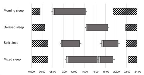 Evaluation of sleep strategies between night shifts in actual shift