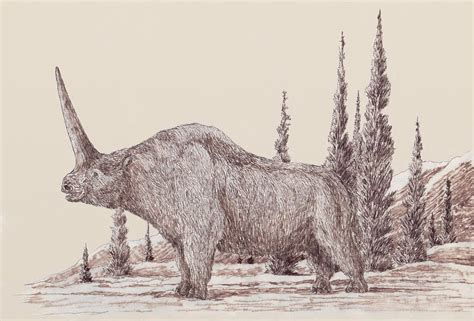 Elasmotherium By Leogon On Deviantart
