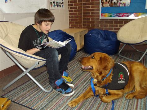 This test includes a handling portion that tests your dog's basic good manners, demeanor, and handling skills. Best (practices) in show: Therapy dogs in schools