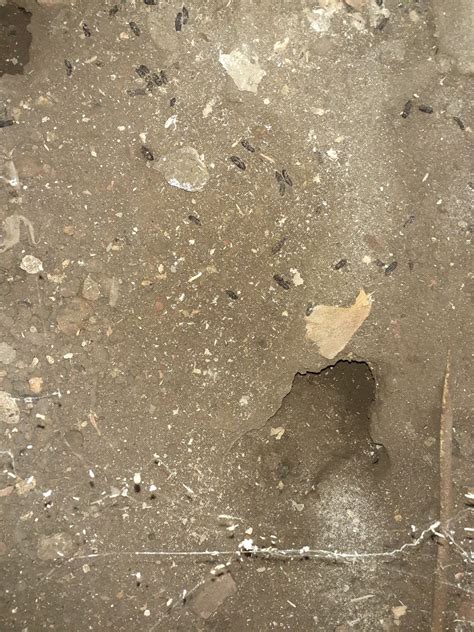 What Does A Rat Hole Look Like How To Identify A Rat Hole