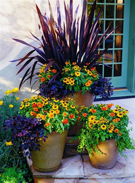 6 amazing tips for having a winter garden in your apartment fall container gardens container