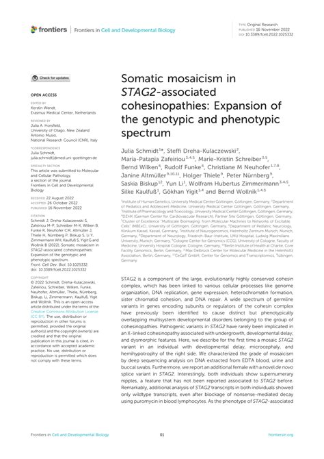 Pdf Somatic Mosaicism In Stag2 Associated Cohesinopathies Expansion Of The Genotypic And