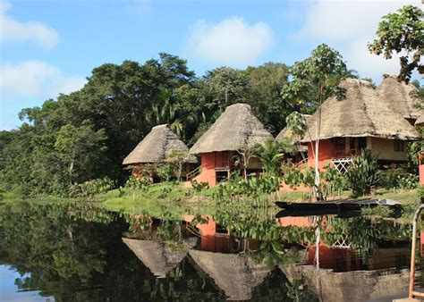 ecuador s wildlife beyond the galapagos islands audley travel ca