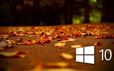 16 Autumn Desktop Wallpaper Microsoft Basty Wallpaper