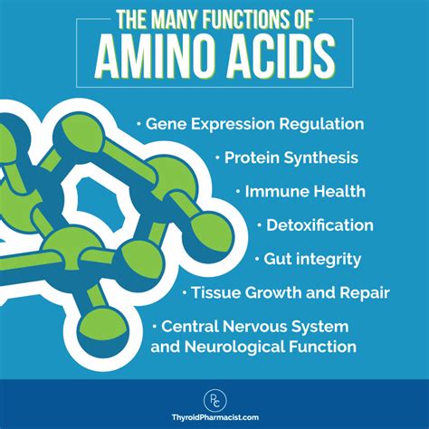 The Benefits Of Amino Acids For Hashimotos Dr Izabella Wentz Pharmd
