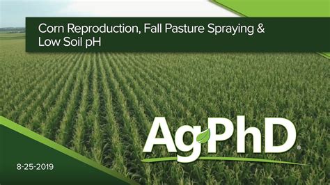 Corn Reproduction Fall Pasture Spraying Low Soil Ph 2019 Acrestv