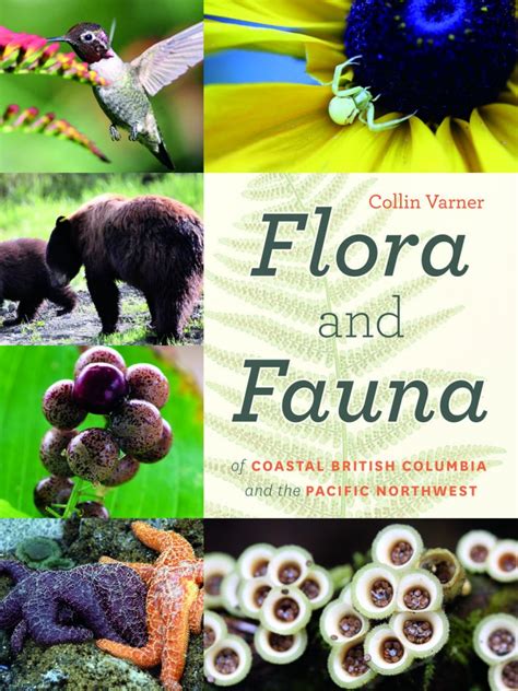 The Flora And Fauna Of Coastal British Columbia And The Pacific