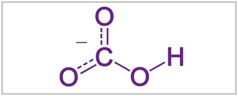 Bicarbonates Structure Uses And Health Effects Chemistry Byjus