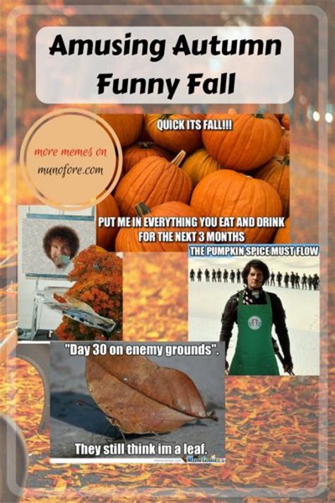 Amusing Autumn Memes Plus Friday Frivolity Munofore