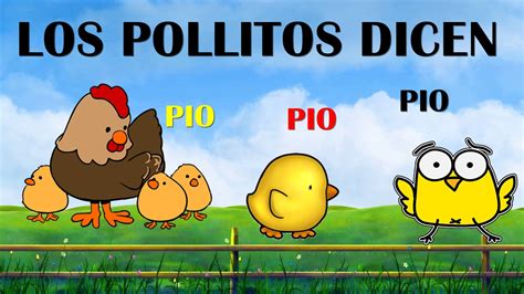 Los Pollitos Dicen Canción Infantil Cuatro Venezolano OrquÍdea