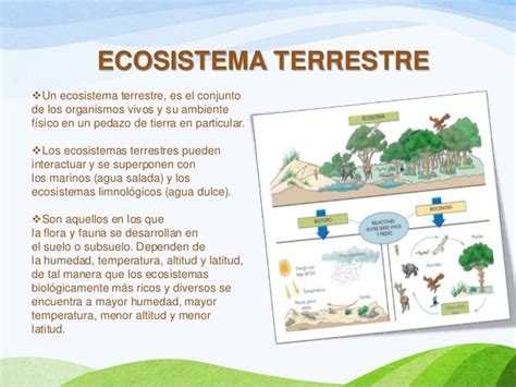 Ecosistema Terrestre