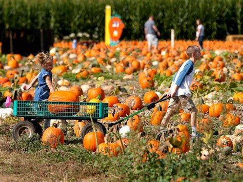October Is Harvestfest Month Ez Orchards Salem Oregon — Ez Orchards