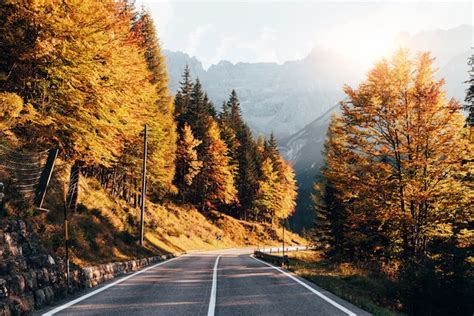 Premium Photo Yellow Colored Autumn Leaves Mountain Road At Sunny