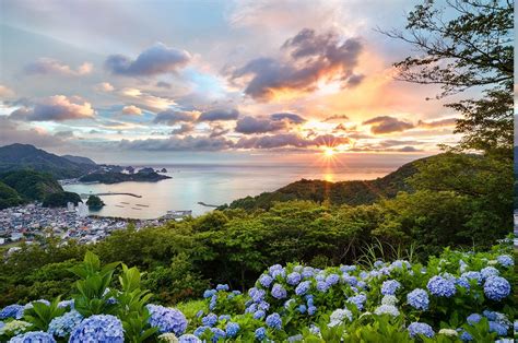 Japan Sunset Cityscape Flowers Hill Trees Hydrangea Bay Ports Summer