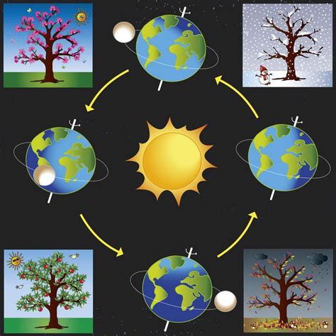 The Four Seasons Science Projects For Kids
