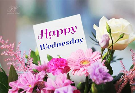 Happy Wednesday Flowers To Wish You The Best Premium Wishes