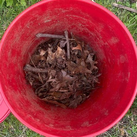 Composting Is A Great Way To Dispose Of Food Scraps And Fertilize Your