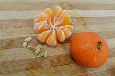 Free Picture Orange Peel Oranges Vitamin Sweet Fruit Orange