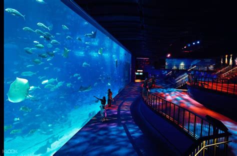 Sea Aquarium One Day Ticket Klook Singapore