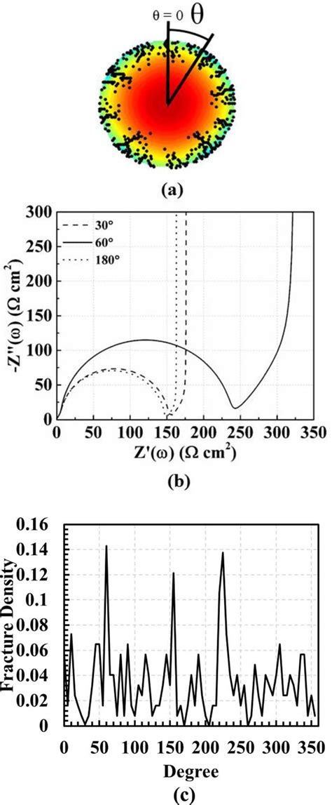 (a) The fracture and concentration distribution plot ...