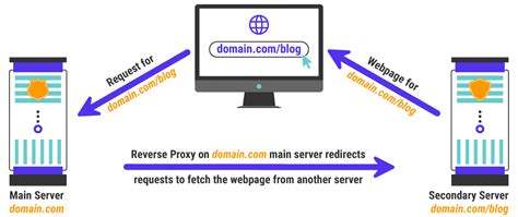 How To Set Up A Reverse Proxy Step By Steps For Nginx And Apache LaptrinhX