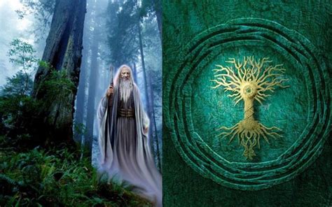 The Symbolic Meaning Behind The Celtic Tree Of Life