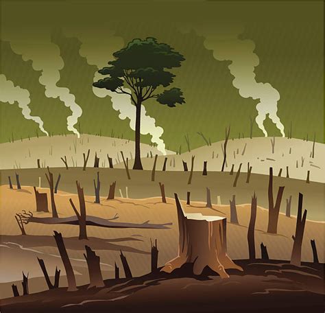 Medioambiente Deforestation Drawing Deforestation Poster Earth Porn