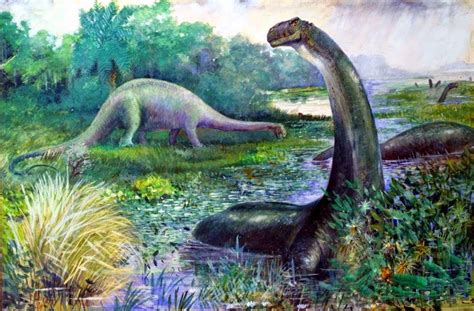 Brontosaurus Determined To Exist As Distinct Member Of One Of 15 18