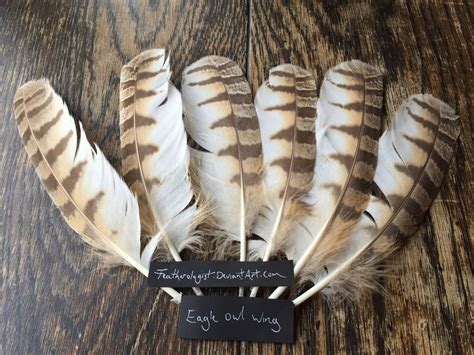 Eagle Owl Feathers By Featherologist On Deviantart