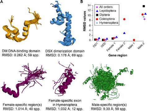 protein structural conservation in various domain and sex specific download scientific diagram