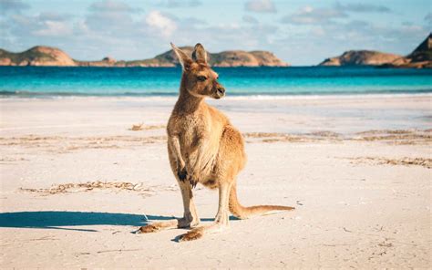 Do You Need a Visa to Visit Australia? | Travel + Leisure
