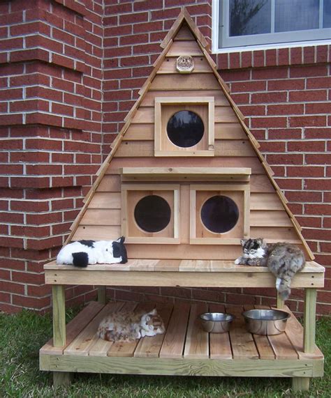 New Ideas Outdoor Cat Houses And Shelters Important Ideas