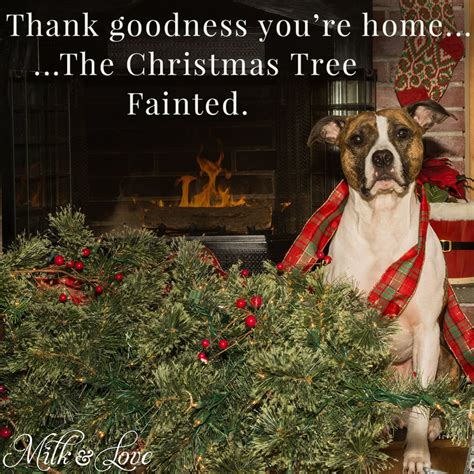 10 Christmas Memes For The Holiday Season Hubpages