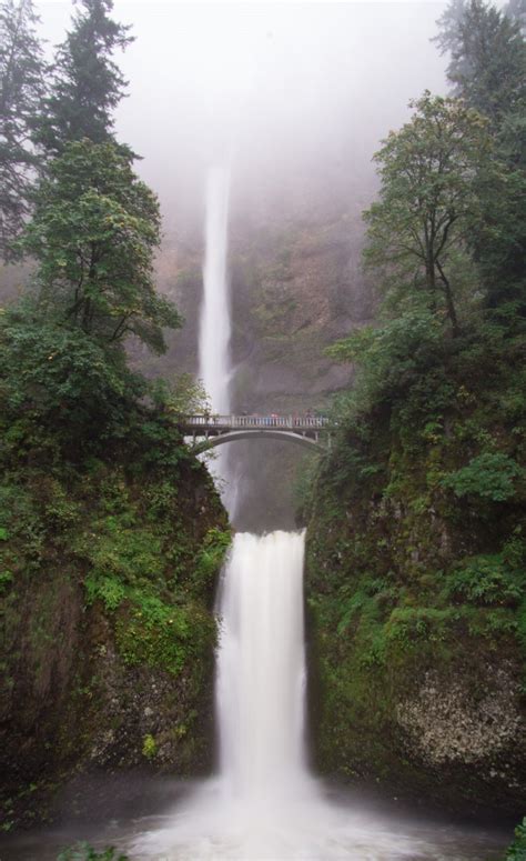 10 Amazing Waterfall Hikes In Oregon Waterfall Hikes Waterfall