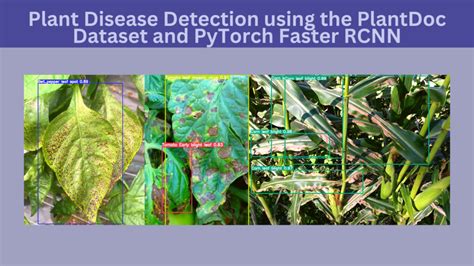 Plant Disease Detection Using The Plantdoc Dataset And Pytorch