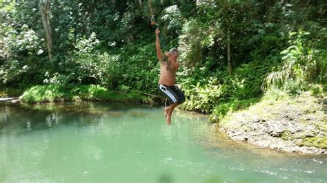 Fresh Water Rope Swing Up Wailua Crossing Wailua Fresh Water Kauai
