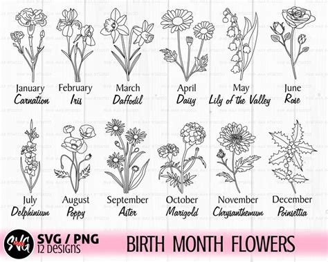 The Birth Month Flowers Are Shown In Black And White