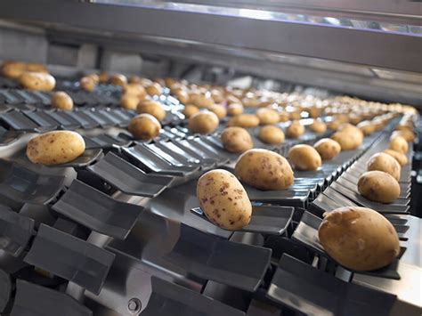Jasa Offers Complete Packaging Solutions For All Types Of Potato Packaging