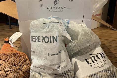 Maine Oysters For Sale Online - Fresh Raw Maine Oysters Shipped