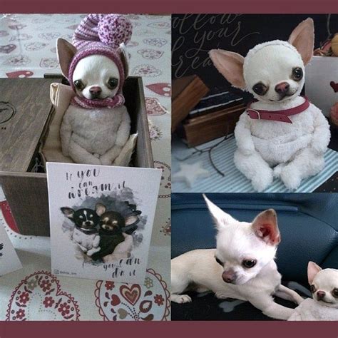 Chihuahua Handmade Dog Puppy Pet Teddy Doll Toy Animal Etsy Pet