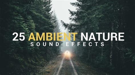 25 Ambient Nature Sound Effects Youtube